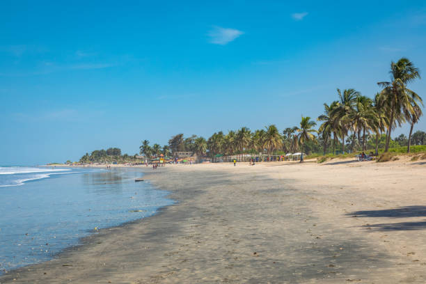 Beach near the Senegambia hotel strip in the Gambia, West Africa. Beach near the Senegambia hotel strip in the Gambia, West Africa. banjul stock pictures, royalty-free photos & images