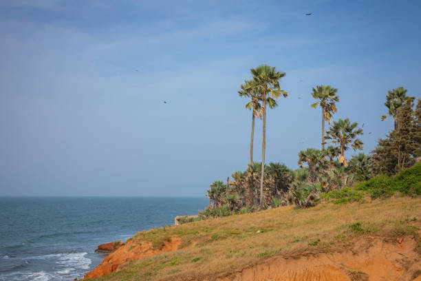 istock Beautiful beach in Serrekunda, Gambia 1197075185