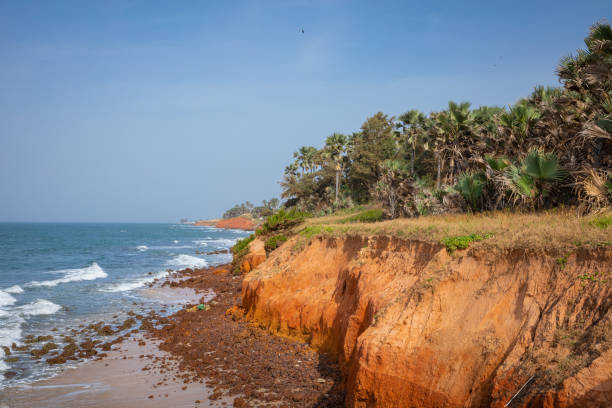 istock Beautiful beach in Serrekunda, Gambia 1197075186