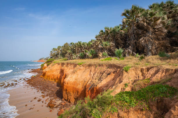 istock Beautiful beach in Serrekunda, Gambia 1197075198