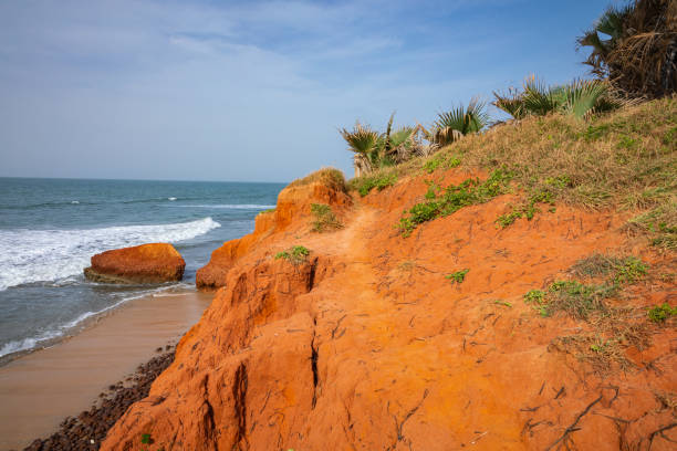 istock Beautiful beach in Serrekunda, Gambia 1197075220