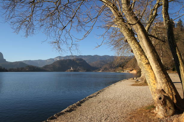 istock Slovenia, Lake Bled 1197075329