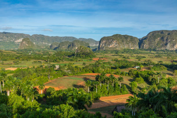 istock Panoramic view over landscape with mogotes in Vinales Valley, Cuba. 1197082341