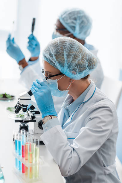 istock selective focus of biologist using microscope and african american colleague holding magnifier 1197083829
