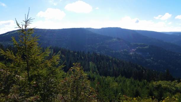 istock Mountains in the wood 1197085651