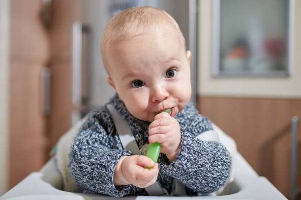 istock Baby eating solid food with the spoon. BLW method. 1197088326