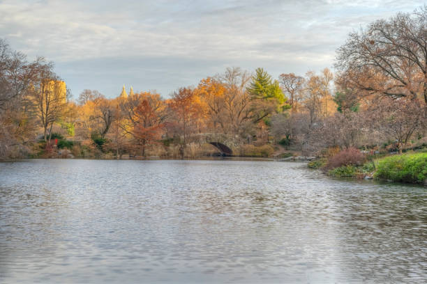 istock Gapstow Bridge in Central Park 1197088720