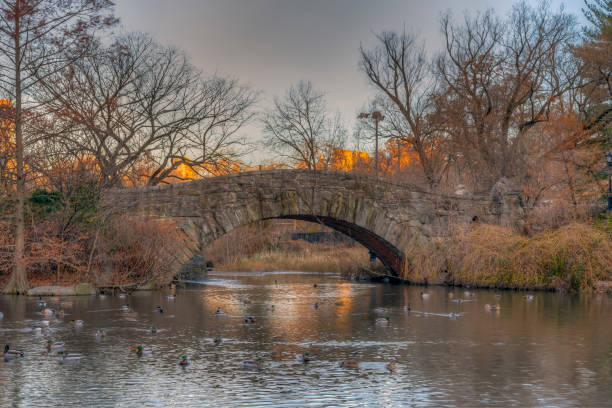 istock Gapstow Bridge in Central Park 1197088953