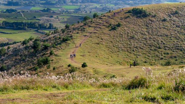 istock Jeju, Yongnun-i Oreum Scenery 1197098733