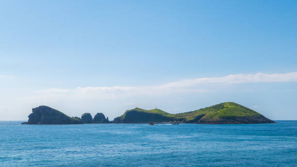 istock Jeju, Island Chagui Scenery 1197103057