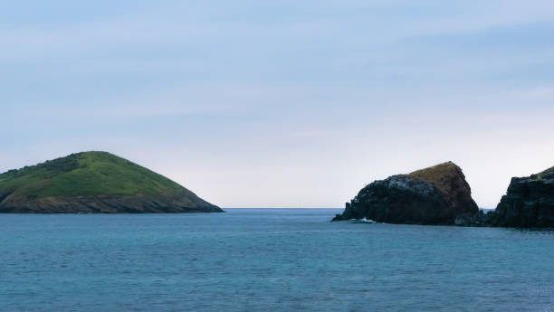 istock Jeju, Island Chagui Scenery 1197103058