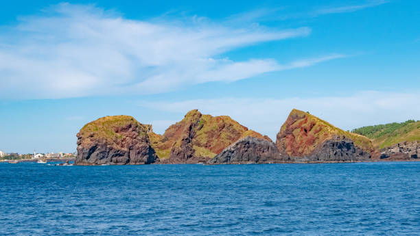 istock Jeju, Island Chagui Scenery 1197103094