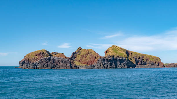 istock Jeju, Island Chagui Scenery 1197103095