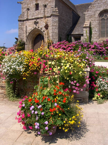프랑스 브릿티 코테 의 갑옷 17 세기 교회 ploumilliau 장식 꽃 근처 lannion - ploumilliau 뉴스 사진 이미지