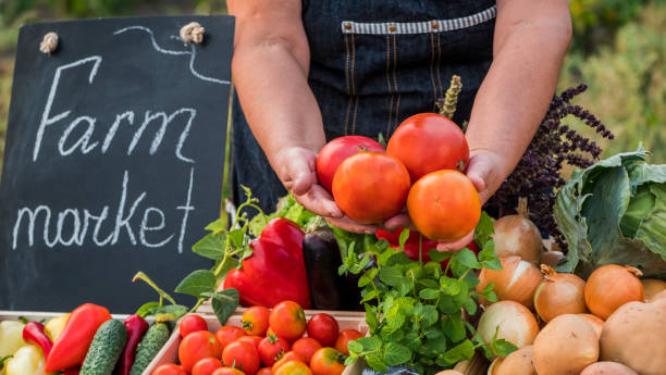 Seller at farmers' market sells tomatoes stock photo