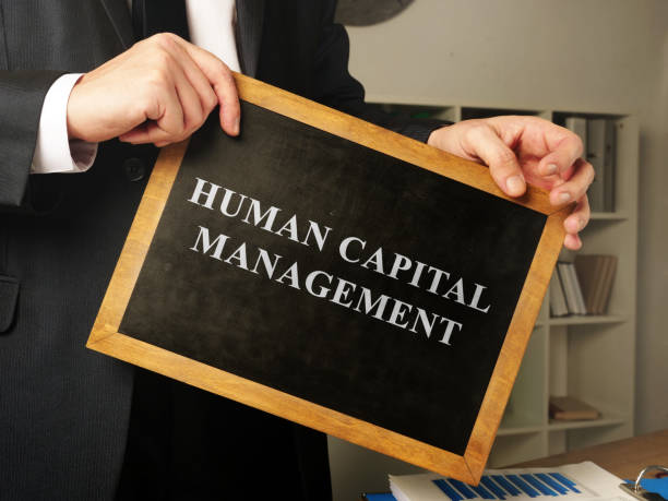 istock Human capital management HCM written on the blackboard. 1197104238