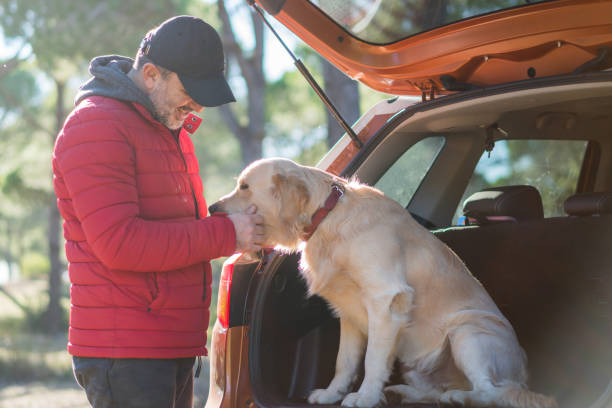 istock Spending day with dog in nature 1197104420