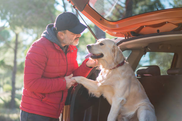 istock Spending day with dog in nature 1197104522