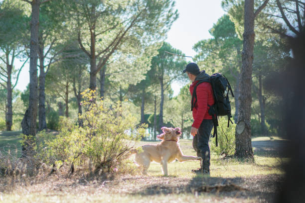 istock Man with stick is training of the dog 1197105667