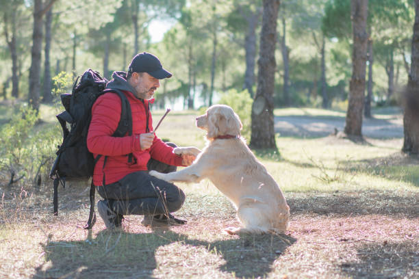 istock Man with stick is training of the dog 1197105701