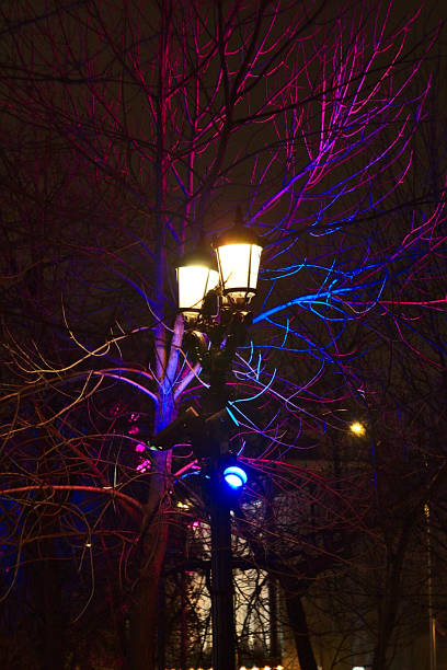 istock illumination of trees on new year's eve 1197105708