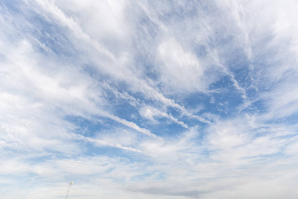Many chemtrails, or contrails produced by airplanes flying on blue sky over the city