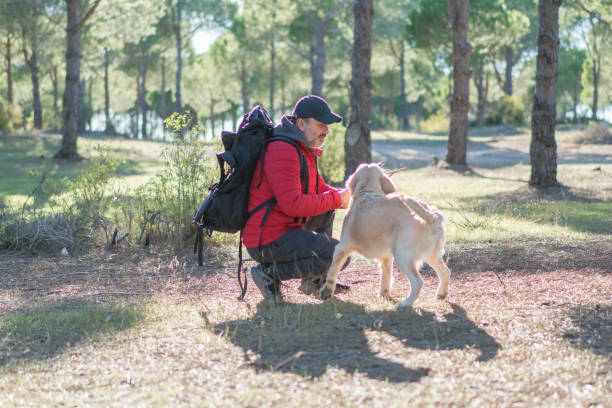 istock Man with a dog hiking and playing in forest 1197107214