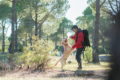 Man Trekking with the dog in forest