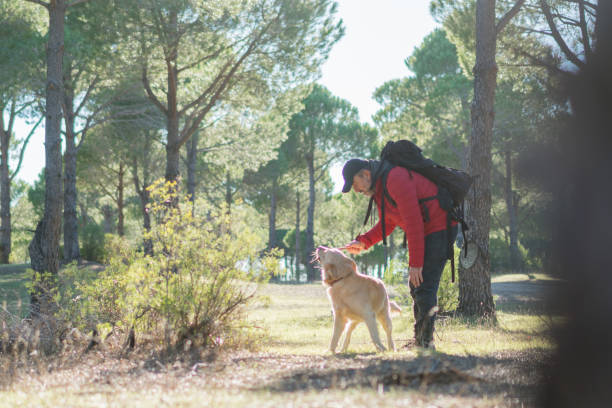 istock Man Trekking with the dog in forest 1197107431