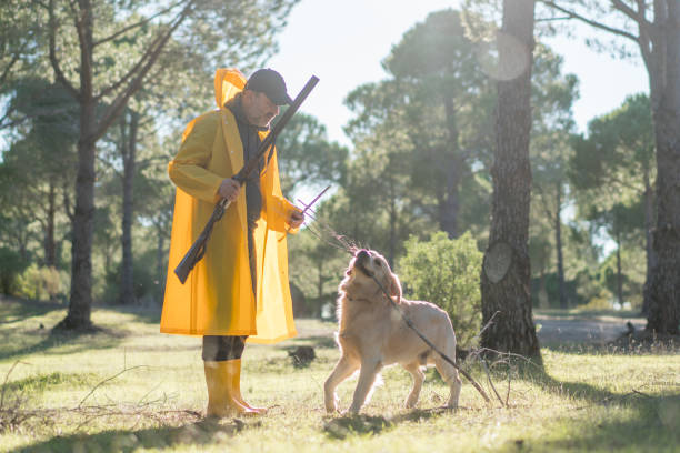 Hunter Man walking with his dog and gun in forest