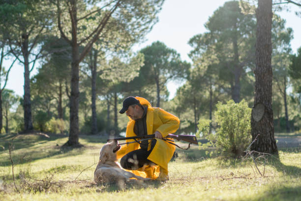Hunter Man walking with his dog and gun in forest