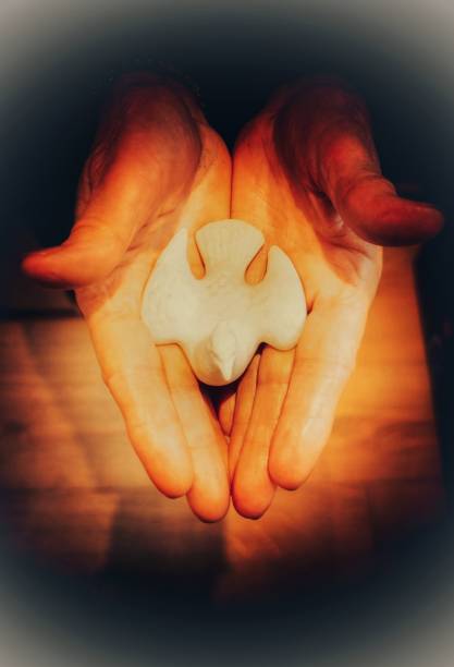 Two outstretched hands holding a small white ceramic dove. Dark and grunge lightning. Two outstretched hands open, illuminated and presenting a figurine of small dove in white earthenware. Chiaroscuro and grunge effect. Humility and compassion. pigeon meat photos stock pictures, royalty-free photos & images