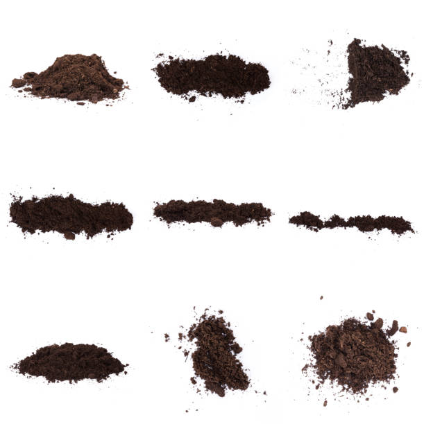 istock Patch of soil or mud isolated on white background 1197110867