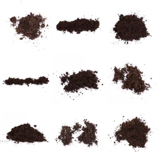 istock Patch of soil or mud isolated on white background 1197110997