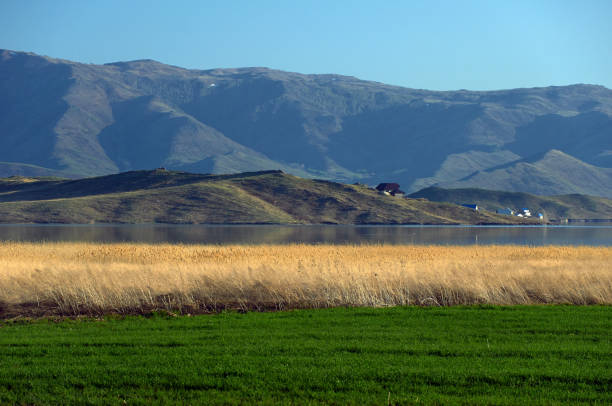 istock Plowed field and mountains and a lake on the background. 1197111109