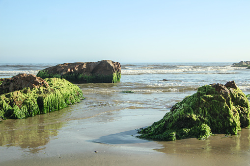Beach in the south of Santa Catarina