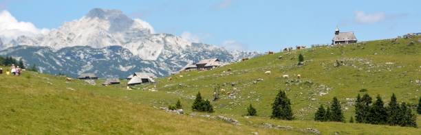 istock planina velika slovenia 1197113727