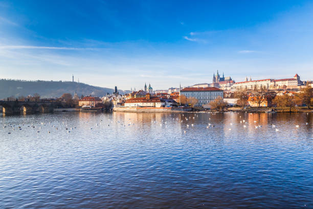 panoramiczny widok na pragę - czechy, europa - national landmark international landmark cityscape tower zdjęcia i obrazy z banku zdjęć