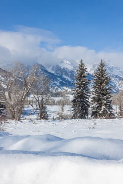 istock Teton Winter Landscape 1197123504