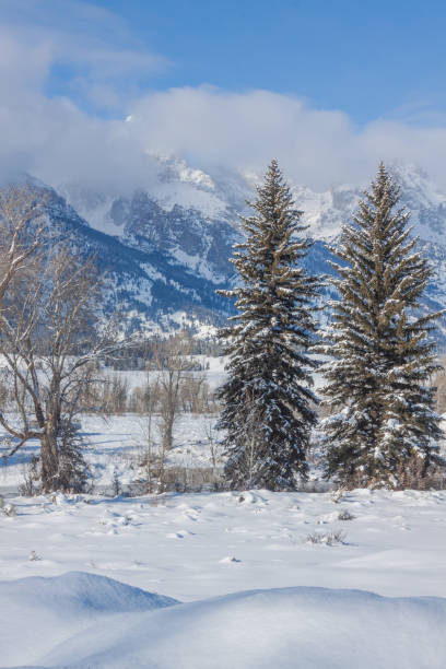 istock Teton Winter Landscape 1197123506