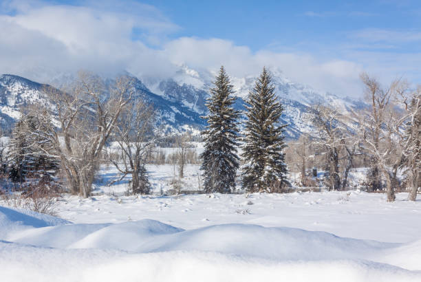 istock Teton Winter Landscape 1197123522