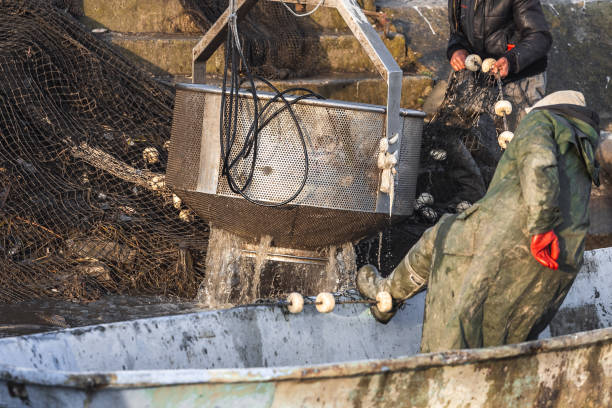 istock fishermen take out the fish from the net with machine baskets 1197123687