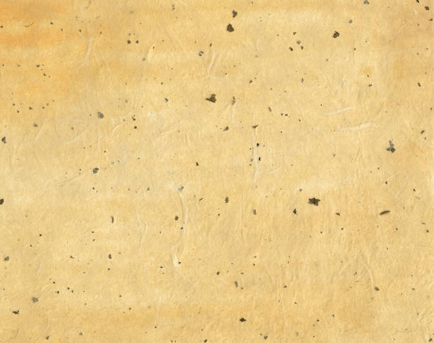 istock Korean traditional paper with small leaves 1197125357