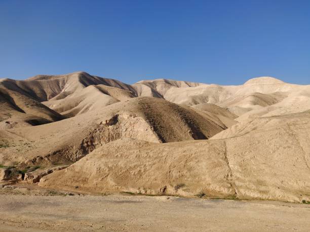 istock Desert of Israel 1197129029