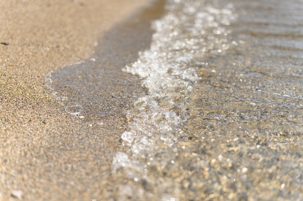 aqua, background, bay, beach, calm, clean, closeup, coast, coastline, concept, day, fine, foam, golden, happiness, holiday, island, landscape, marine, nature, nobody, ocean, pebble, relaxation, sand, sandy, sea, seascape, seashore, seaside, shallow, shiny, shore, shoreline, small, soft, splash, summer, surface, texture, textured, time, transparent, tropical, vacation, water, wave, wavy, wet, yellow