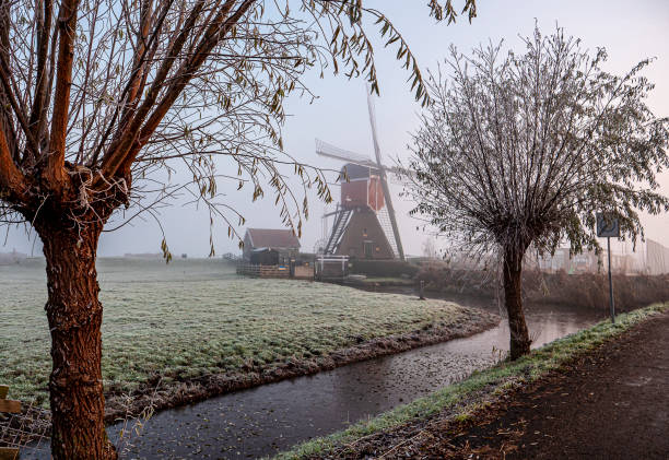 Mistige winterochtend in Kaag en Braassem in het Groene Hart van Nederland