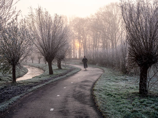 Morning light on a footpath in a forest in winter. 