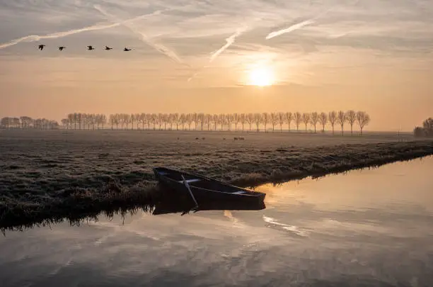 Photo of Winterochtend in de polder