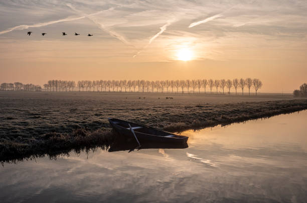 winterochtend in de polder - polder field meadow landscape imagens e fotografias de stock