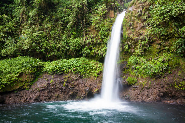 istock Scenic Waterfall in a Costa Rica Jungle. 1197133114